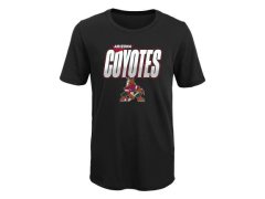 Hokej shop Arizona Coyotes
