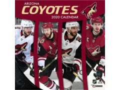 Arizona Coyotes kalendář 2020 Wall