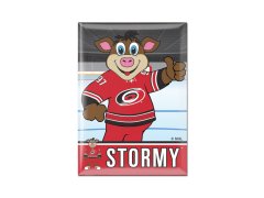 Carolina Hurricanes magnetka Metal Mascot