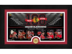 Chicago Blackhawks sběratelská plaketa 100th bronze coin Timeline photo mint