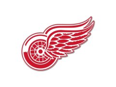 Detroit Red Wings odznak Enamel Pin Jewelry Card