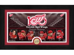 Detroit Red Wings sběratelská plaketa 100th bronze coin Timeline photo mint