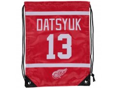 NHL vak Pavel Datsyuk Wings