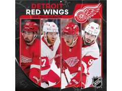 Detroit Red Wings vlajky, plakáty