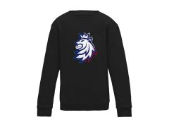 Hokejové reprezentace dětská mikina Czech Republic Tricolour logo lion black