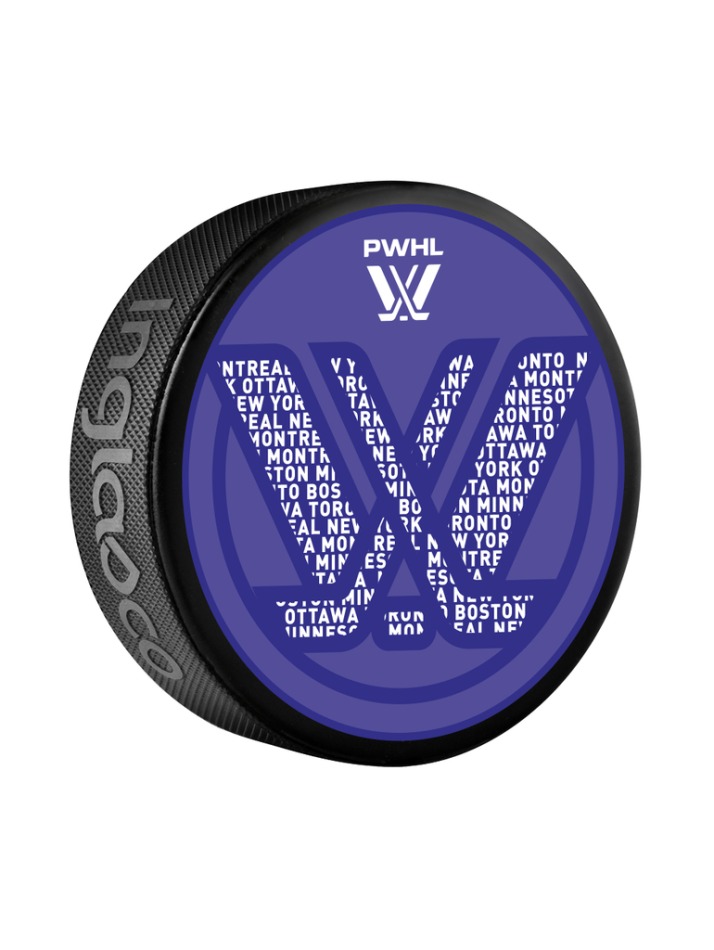 Seattle Kraken pánská mikina s&nbsp;kapucí Primary Logo Graphic navy - NHL produkty hokejové vybavení