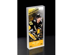 Pittsburgh Penguins obrázek v&nbsp;rámečku Sidney Crosby picture