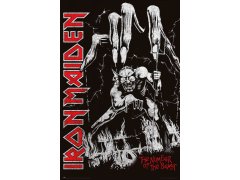 Plakát 61 X 91,5 Cm - Iron Maiden 6674849