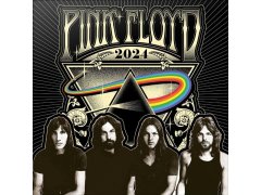 Pink Floyd (30 X 30|60 Cm) Sq 16m