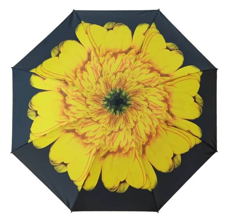 Blooming Brollies Dámský skládací deštník EDRFFSF - Deštníky Skládací deštníky Automatické skládací deštníky
