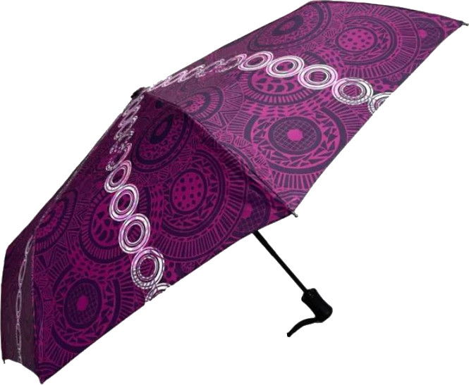 Blooming Brollies Dámský skládací plně automatický deštník APFCPUR - Deštníky Skládací deštníky Automatické skládací deštníky
