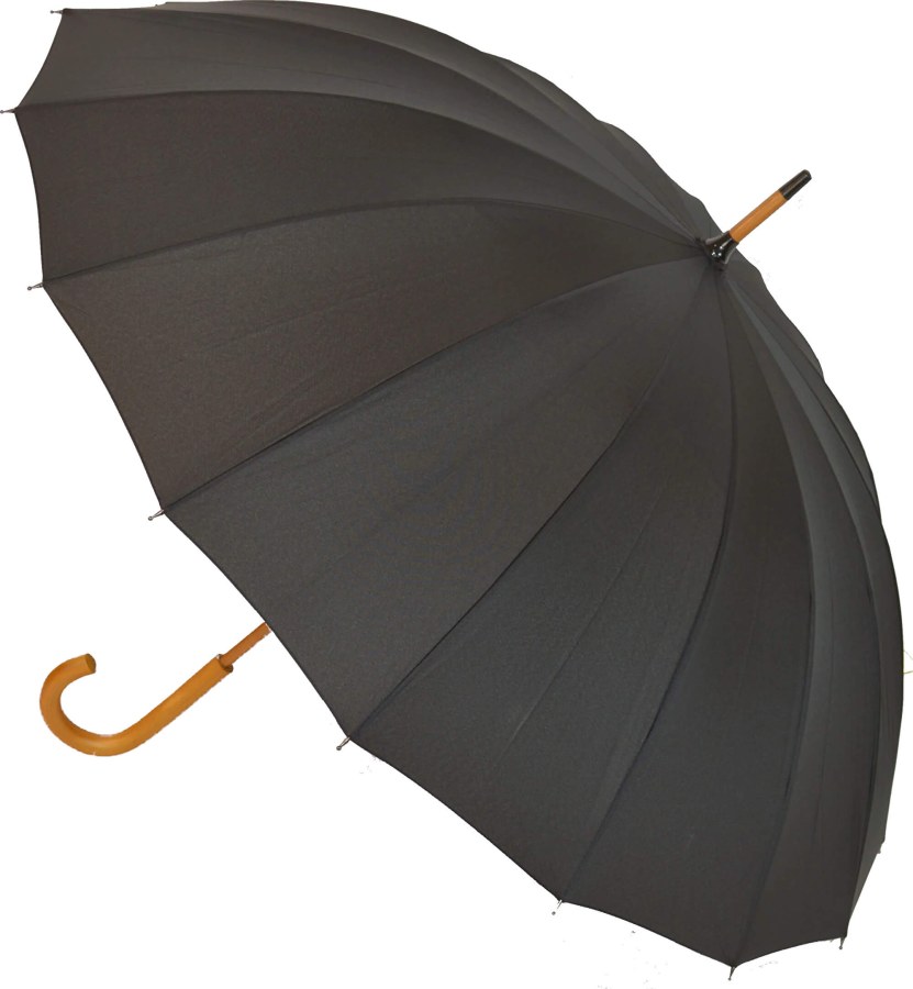Blooming Brollies Pánský holový deštník EDSM169 - Deštníky Holové deštníky Automatické holové deštníky
