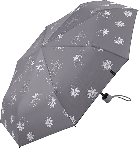 Esprit Dámský skládací deštník Mini Manual 58723 silver metalic - Deštníky Skládací deštníky Mechanické skládací deštníky