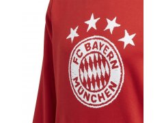 Adidas FC Bayern Mnichov DNA Graphic červená/bílá UK XXL