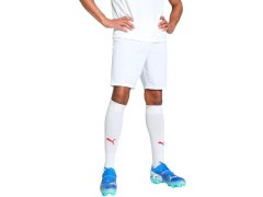 Puma Team Goal pánské šortky bílé 705752 04
