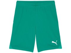 Pánské šortky Puma Team Goal zelené 705752 05