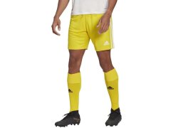 Pánské kraťasy Squadra 21 Short M GN5772 - Adidas