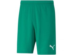 Pánské kraťasy teamRISE Short M 704942 05 - Puma
