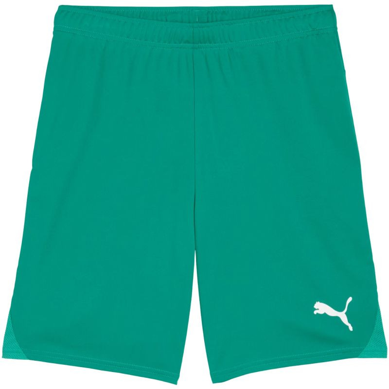 Pánské šortky Puma Team Goal zelené 705752 05