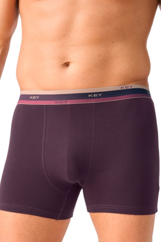 Pánské boxerky MXH 273 B26