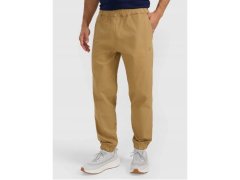 Pánské tepláky typu jogger 4F 4FRMM00TTROM1627-83S