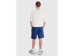 Pánské šortky Regular fit SHOM543-031S modré - 4F 2