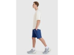 Pánské šortky Regular fit SHOM543-031S modré - 4F 4