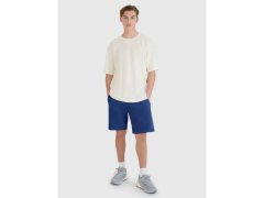 Pánské šortky Regular fit SHOM543-031S modré - 4F 5