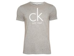 Pánské tričko s krátkým rukávem KM0KM00189-020 - Calvin Klein 1