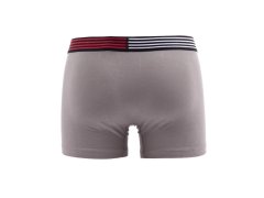 Flex Trunk UM0UM02411-PTM - Tommy Hilfiger 1