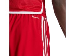 Pánské šortky adidas Tiro 23 Competition Match červené HL4790 4