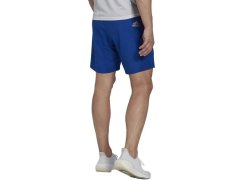 Šortky adidas Run It M HL3967 4