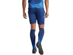 Šortky adidas Tiro 24 Competition Match M IQ4754 1