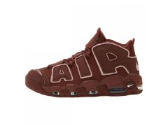 Nike Air More Uptempo `96 M DV3466-200 1