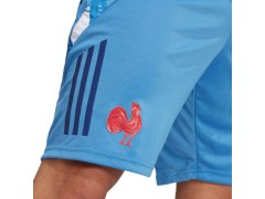 Pánské šortky adidas France Gym, modré, JC7182 2