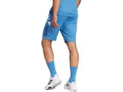 Pánské šortky adidas France Gym, modré, JC7182 4