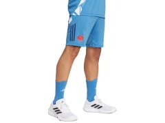 Pánské šortky adidas France Gym, modré, JC7182 5