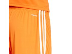 Šortky adidas Squadra 25 M JC8676 4