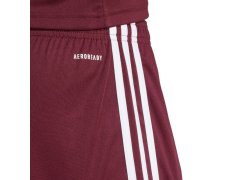 Šortky adidas Squadra 25 M JC8677 4