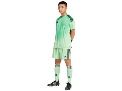 Pánské brankářské tričko adidas Tiro 25 Competition Jersey Short Sleeve green JI9716 pánské 7