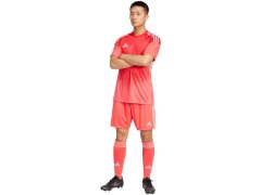 Pánské brankářské tričko adidas Tiro 25 Competition Jersey Short Sleeve red JI9717 pánské 7