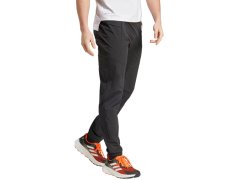 Pánské kalhoty adidas Terrex Xperior Light black IQ1399 2