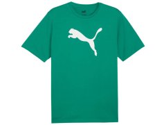 Puma Team Rise Logo Jersey Cotton M 658705 05 pánské 2