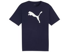Puma Team Rise Logo Jersey Cotton M 658705 06 pánské 2