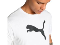 Puma Team Rise Logo Jersey Cotton M 658705 04 pánské 7