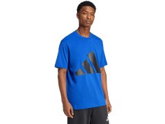 Tričko adidas Essentials Big Logo M JE8942 pánské 7