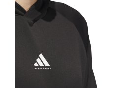 Mikina adidas Basketball Crazy Warm Hoody M JN2491 pánské 5