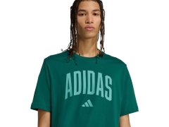 Tričko adidas Collegiate Lineage Graphic M KA7135 pánské 6