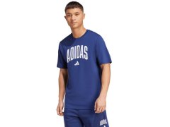 Tričko adidas Collegiate Lineage Graphic M JM6417 pánské 1