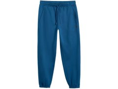 Pánské kalhoty 4F CAS M1140 sea green 4FWMM00TTROM1140 46S 1
